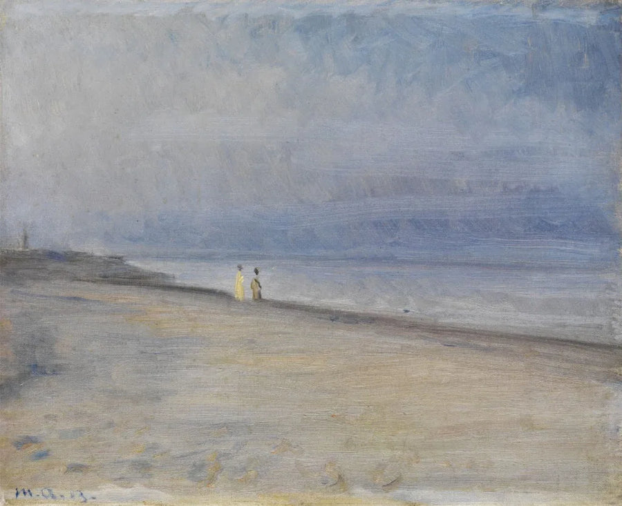 Vista de una playa - Michael Peter Ancher