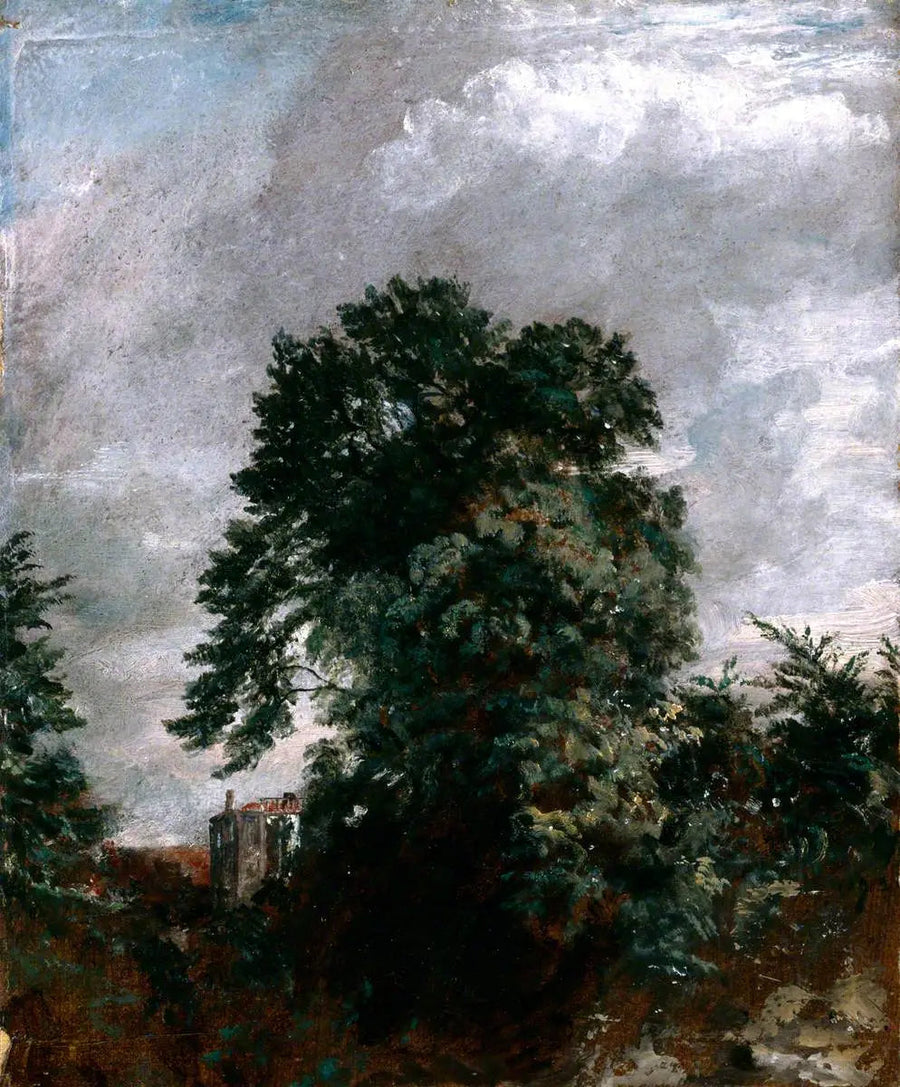 Vista lejana del matorral, Hampstead - John Constable