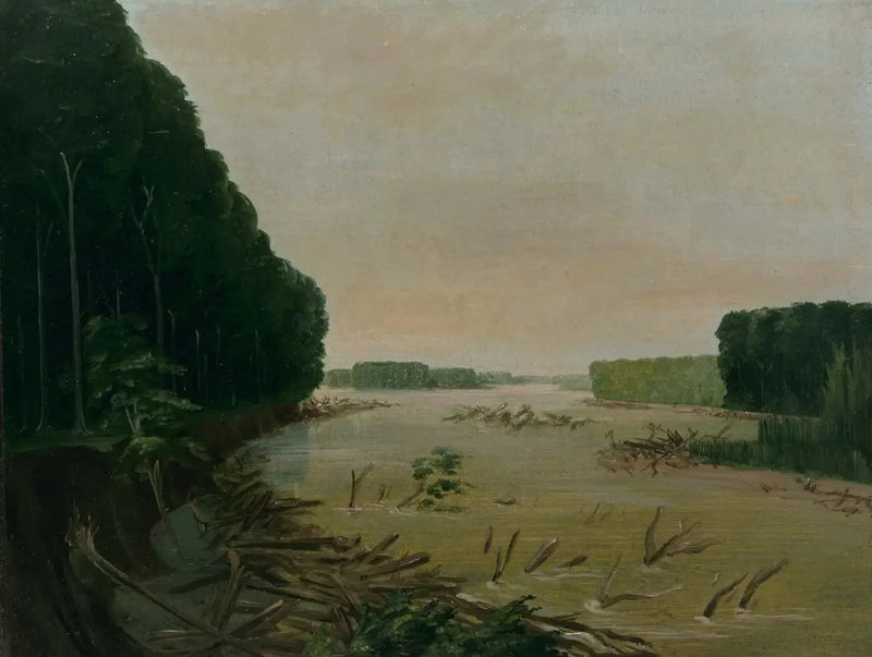 Vista del río Misisipi, las terrazas aluviales se desploman, a 966 kilómetros por encima de San Luis - George Catlin