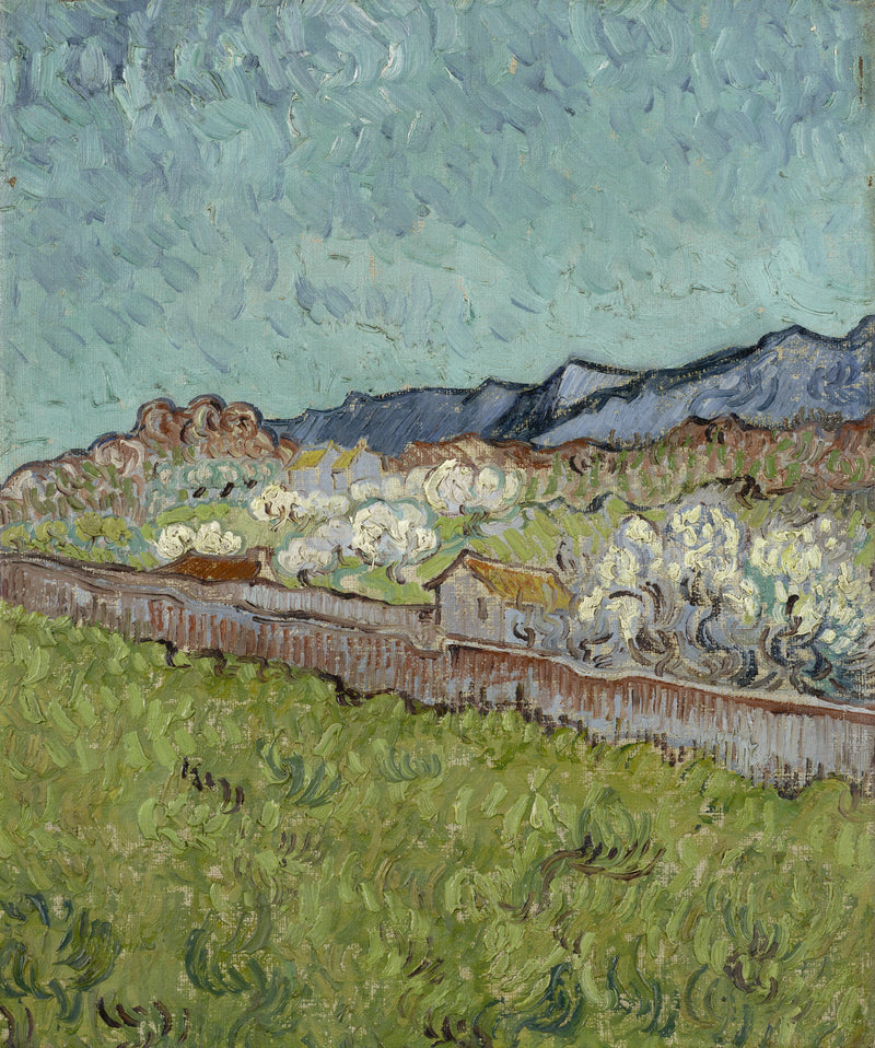 Vista de los Alpilles - Vincent van Gogh