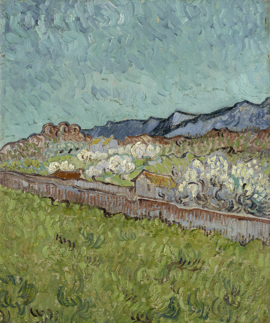 Vista de los Alpilles - Vincent van Gogh