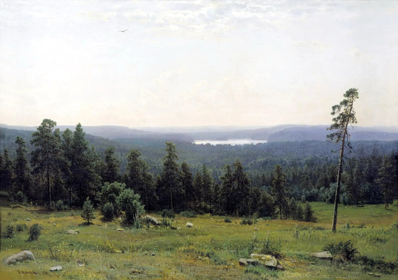 Vistas lejanas del bosque - Ivan Chichkine