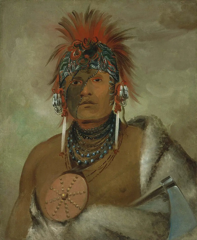 Wá-hón-ga-shee, No Fool, un gran idiota - George Catlin