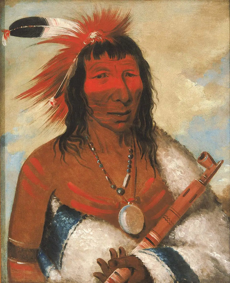 Wá-nah-de-túnk-ah, Gran Águila (o Perro Negro), Jefe de la banda O-hah-kas-ka-toh-y-an-te - George Catlin