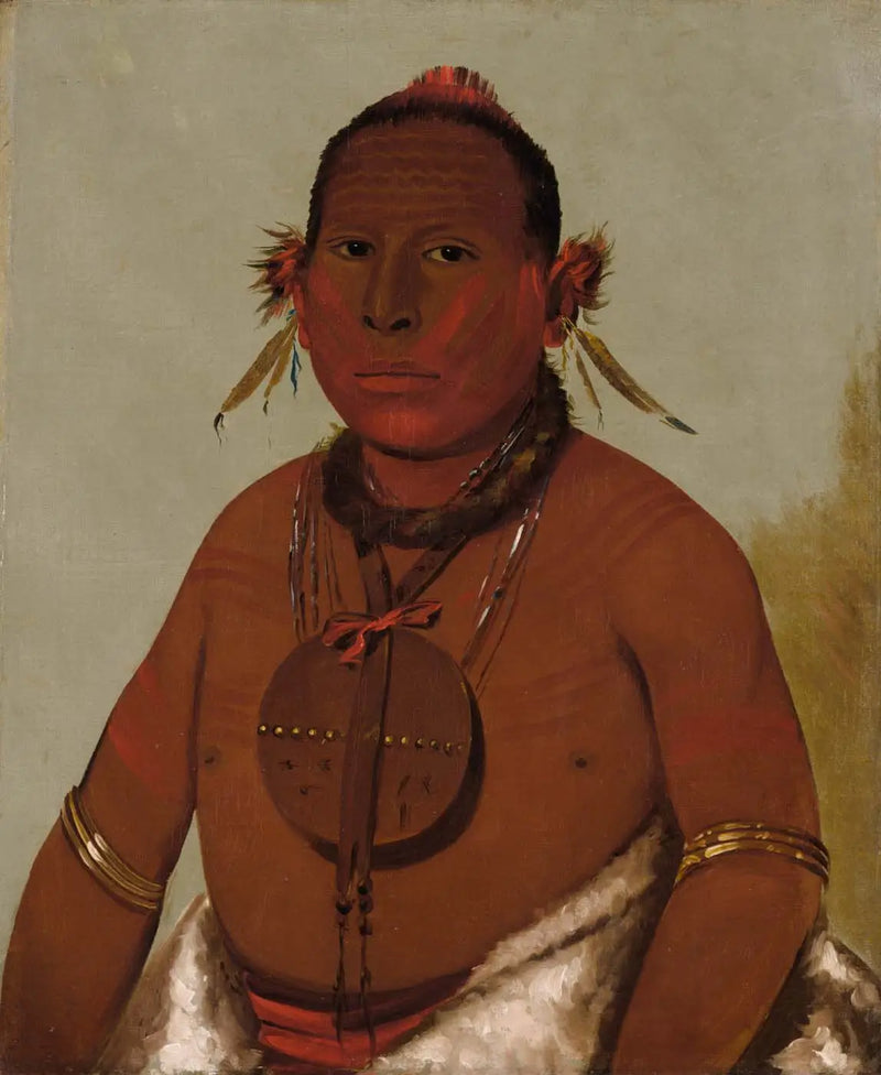 Wa-sáw-me-saw, Rugido de trueno, el hijo menor del Halcón negro - George Catlin