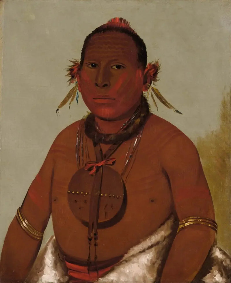 Wa-sáw-me-saw, Rugido de trueno, el hijo menor del Halcón negro - George Catlin