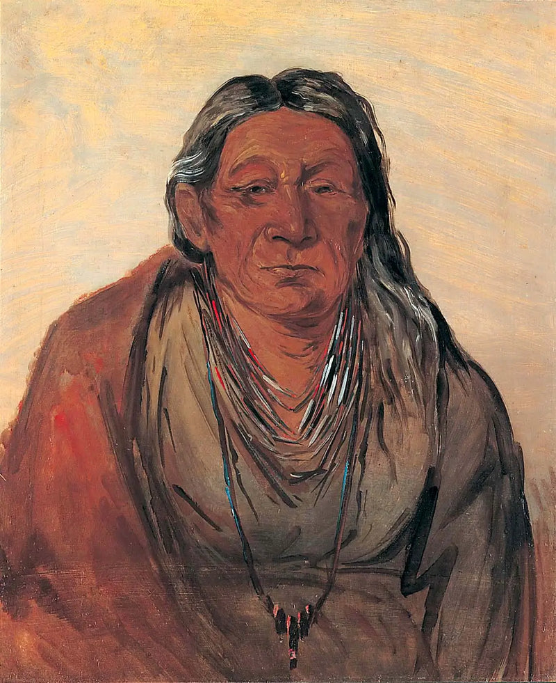Wah-pe-séh-see, Madre del Jefe - George Catlin