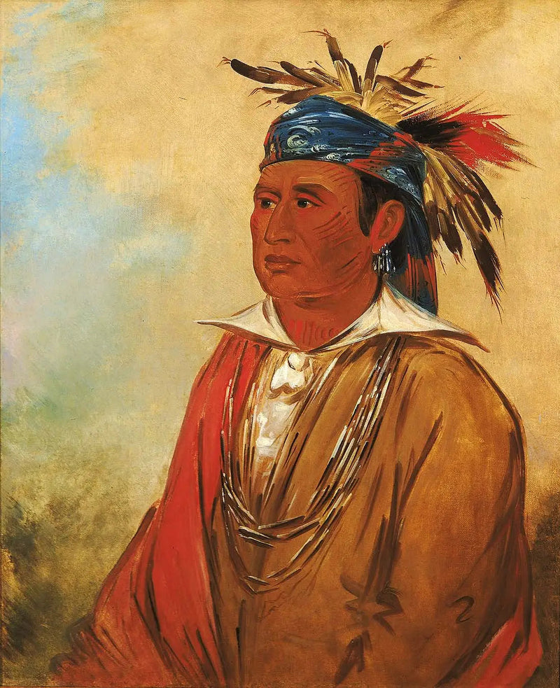 Wah-pón-jee-a, El Cisne, un Guerrero - George Catlin