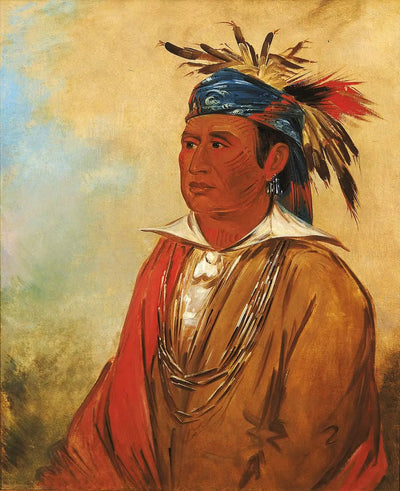 Wah-pón-jee-a Le Cygne un Guerrier - George Catlin - Alpha Reproduction