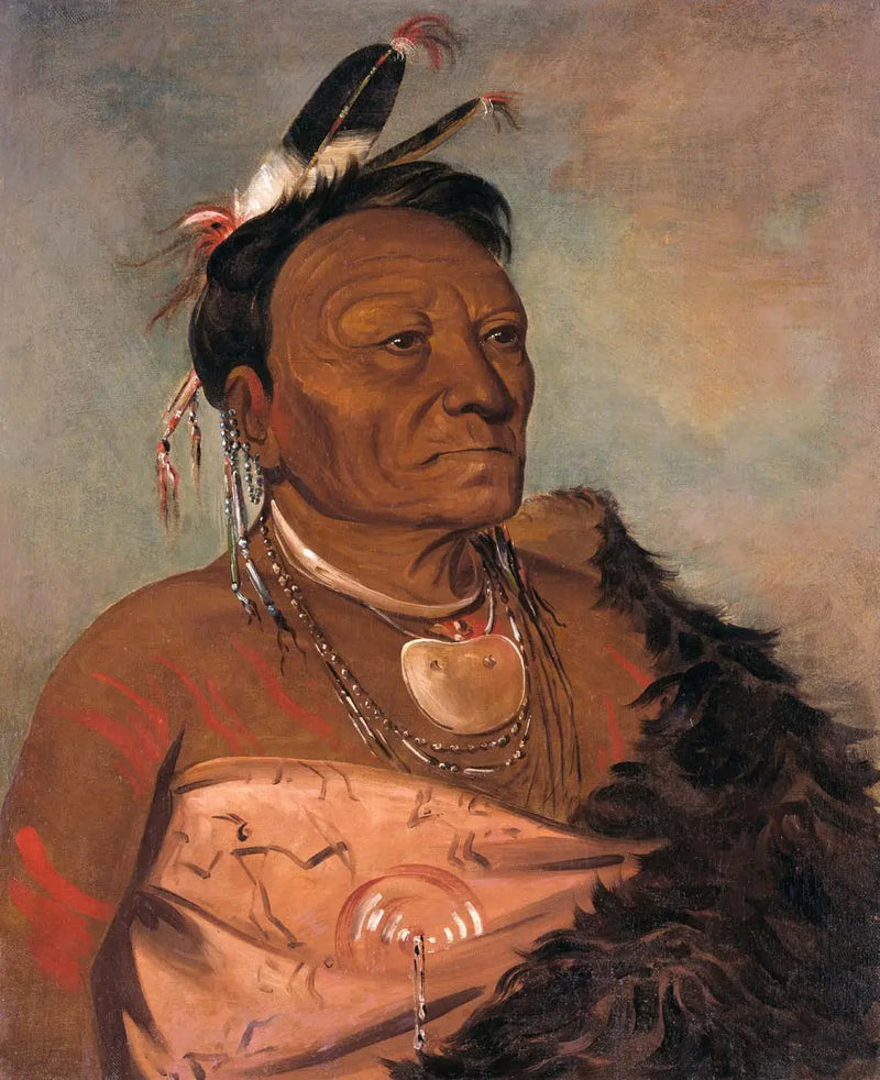 Wee-tá-ra-shá-ro, jefe de la tribu - George Catlin
