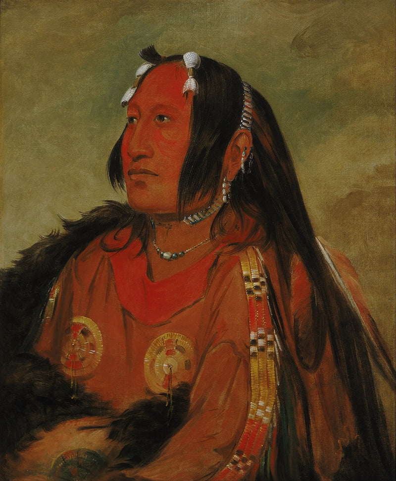 Wi-jún-jon, Cabeza de huevo de paloma (La Luz), un joven guerrero distinguido - George Catlin