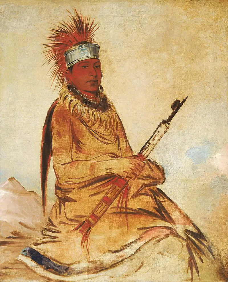 W'y-ee-yogh, hombre de buen sentido, un valiente - George Catlin