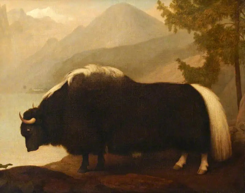 Yak - George Stubbs - Alpha Reproduction