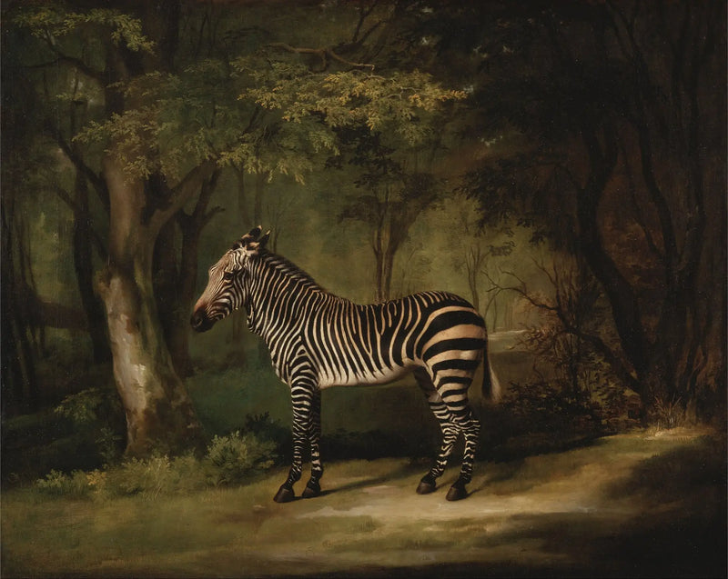 Cebra - George Stubbs